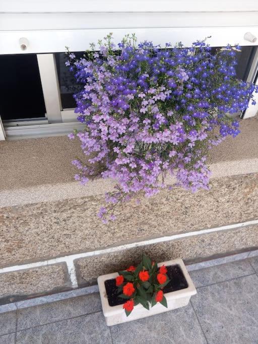 Precioso Apartamento En San Vicente De O Grove San Vicente do Grove Buitenkant foto